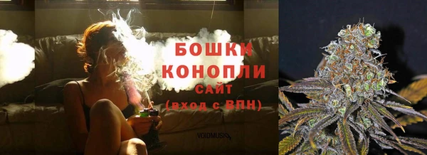 прущие грибы Михайловск