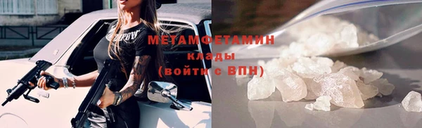 прущие грибы Михайловск
