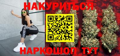 сатива Балахна