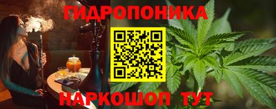 сатива Балахна