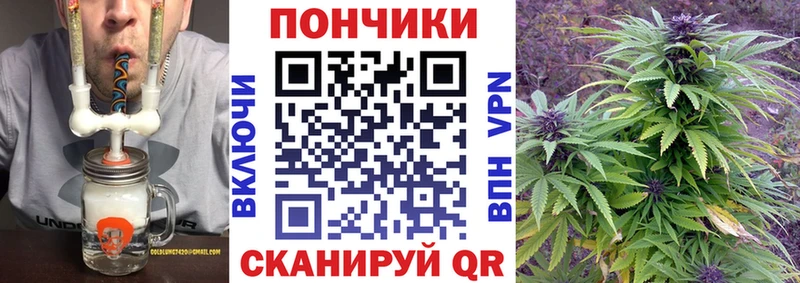 omg рабочий сайт  сколько стоит  Котовск  МАРИХУАНА гибрид 